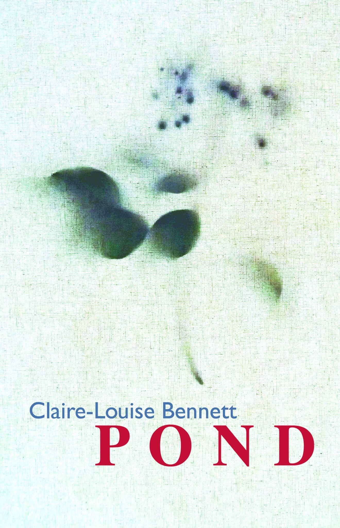 I Will Follow Claire-Louise Bennett Anywhere – Topaz Literary